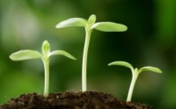 Sức mạnh của điểm yếu
